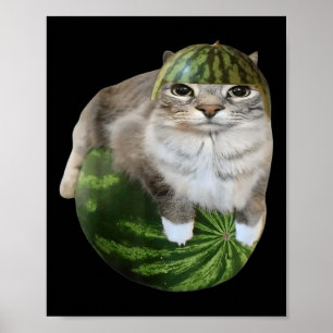 Watermelon Cat Funny Meme  Poster