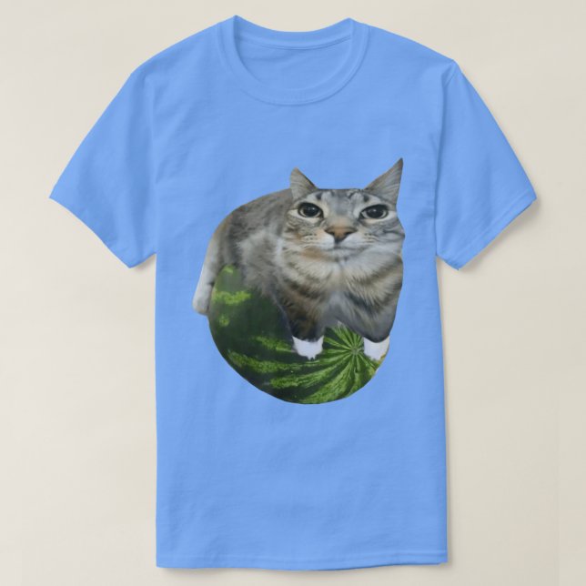 Watermelon Cat Meme T-Shirt (Design Front)