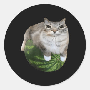 Watermelon Cat Silly Cat Meme Classic Round Sticker
