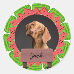 watermelon christmas holiday Custom Dog Photo Classic Round Sticker