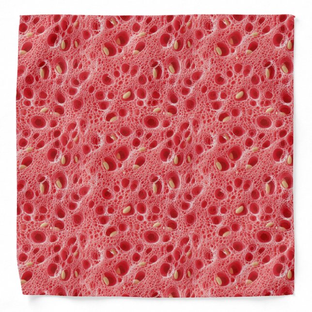 Watermelon Flesh Texture Pattern Bandana (Front)