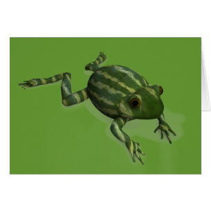 Watermelon Frog Cards