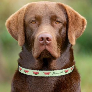 Watermelon Fruit Slices On Green With Pet's Name Pet Collar