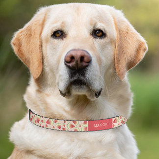 Watermelon Fruit Slices Red Melon Food Pattern Pet Collar