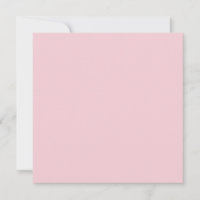 Watermelon Lollipop Pink Solid Color