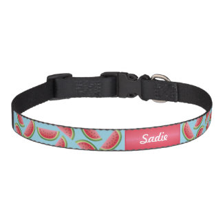 Watermelon Pattern On Blue And Custom Dog's Name Pet Collar