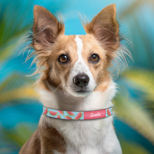 Watermelon Pattern On Blue And Custom Dog's Name Pet Collar