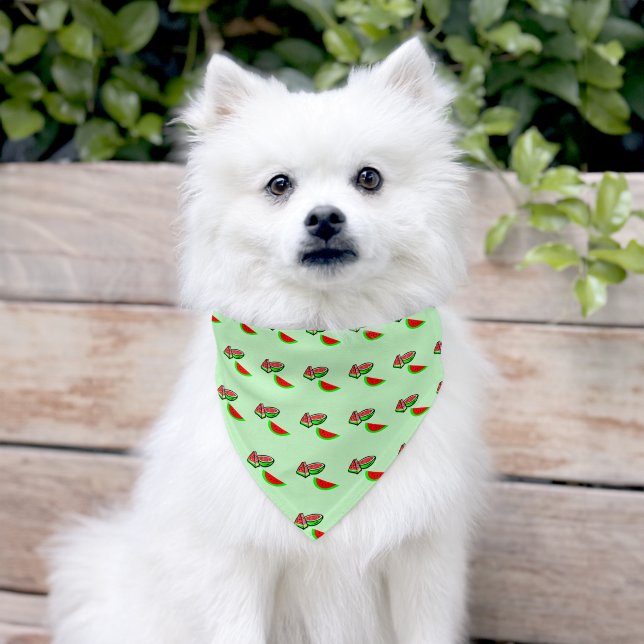 Watermelon Pet Bandana Collar (Dog)