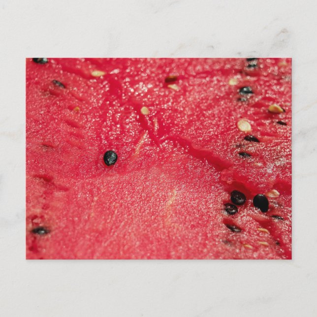 WATERMELON Postcard (Front)