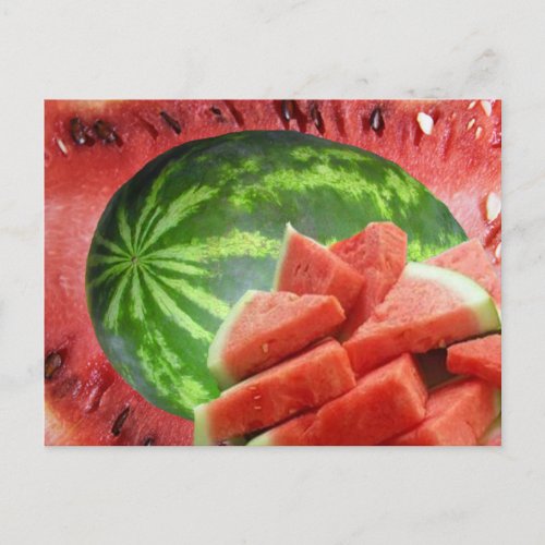 Watermelon Postcard