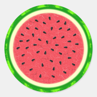 Watermelon Slice Summer Fruit with Rind Classic Round Sticker