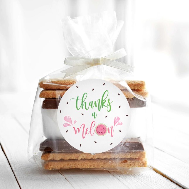 Watermelon Thanks a Melon Thank You  Classic Round Sticker (Creator Uploaded)