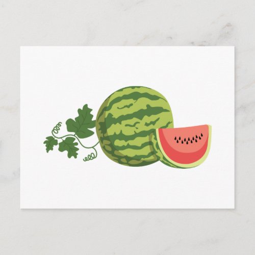 Watermelon Vine Postcard