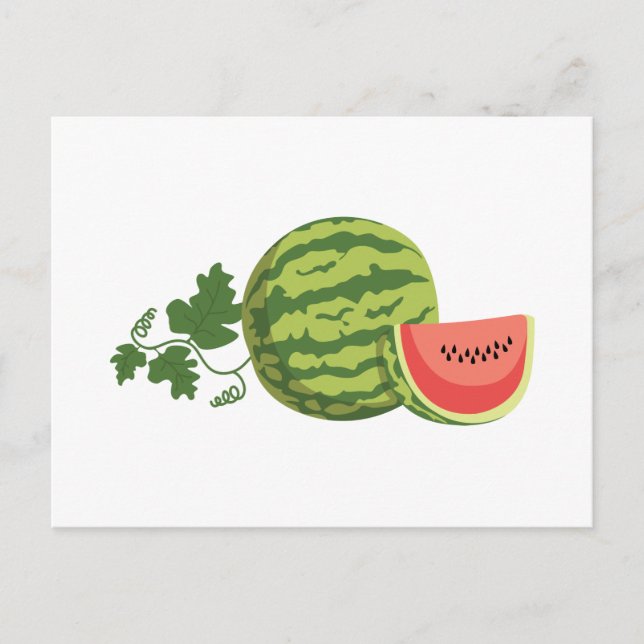 Watermelon Vine Postcard (Front)