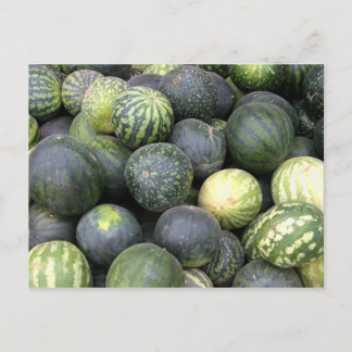 watermelons postcard