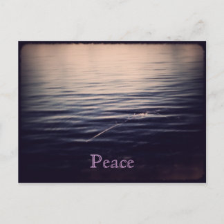 WaterPeace 1 Postcard 1