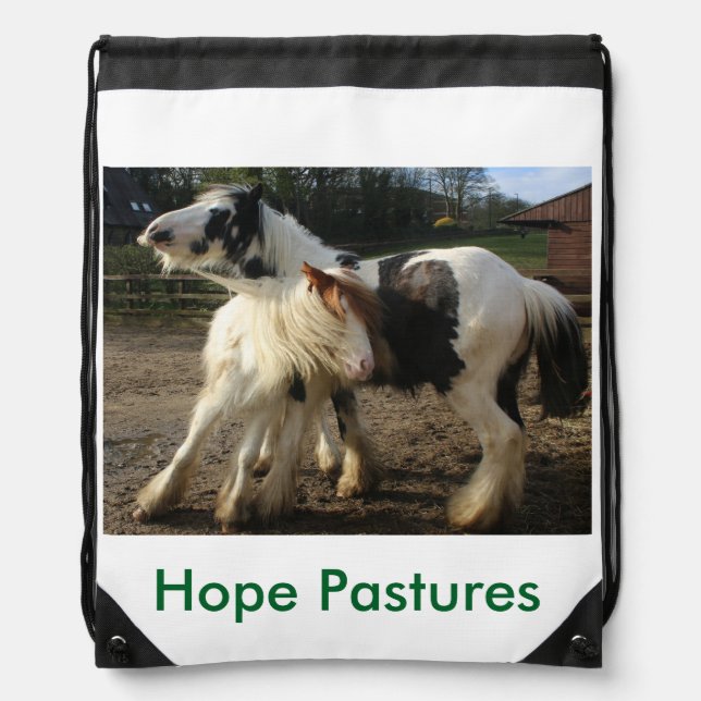 Waterproof Drawstring Bag (Front)