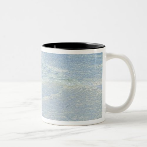 Waters edge 2 Two_Tone coffee mug
