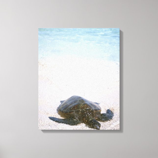 Water's edge canvas print (Front)