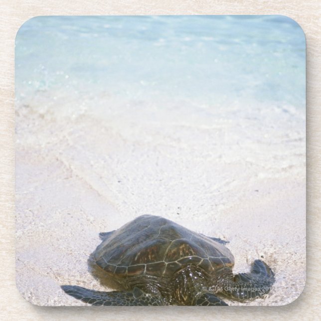 Water's edge drink coaster (Front)