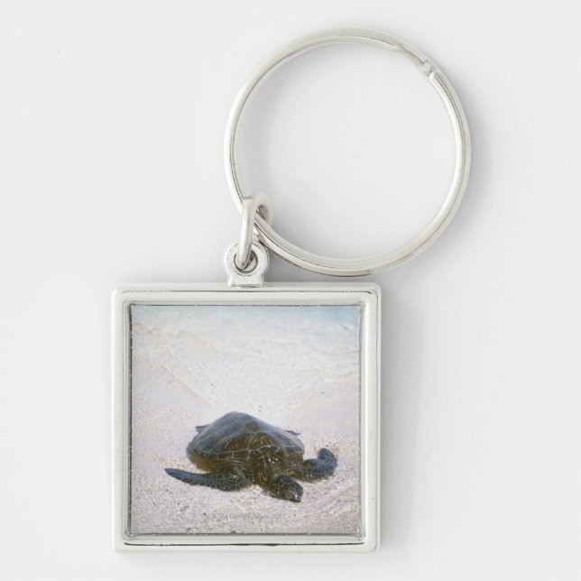 Water's edge keychain (Front)