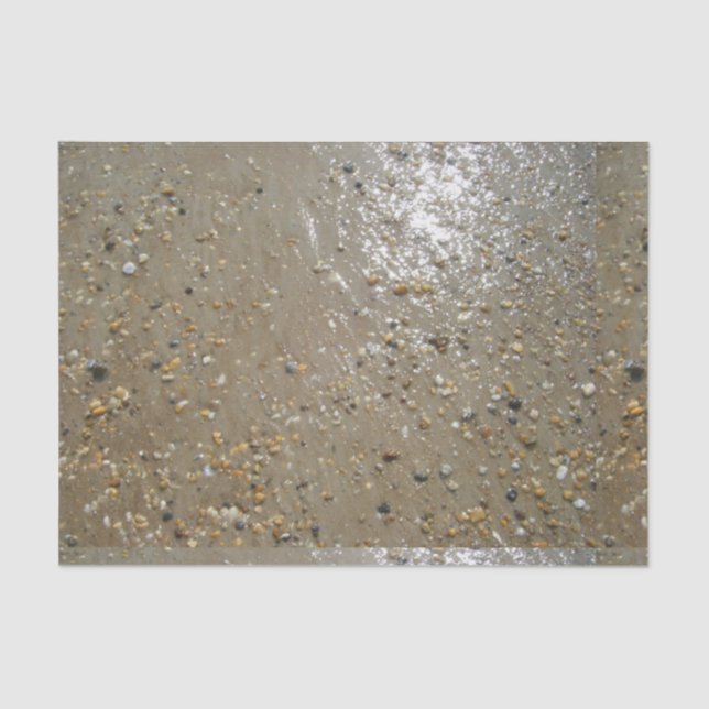 Water's Edge Stones Shells Beach Ocean Sand Summer Tissue Paper (Front)