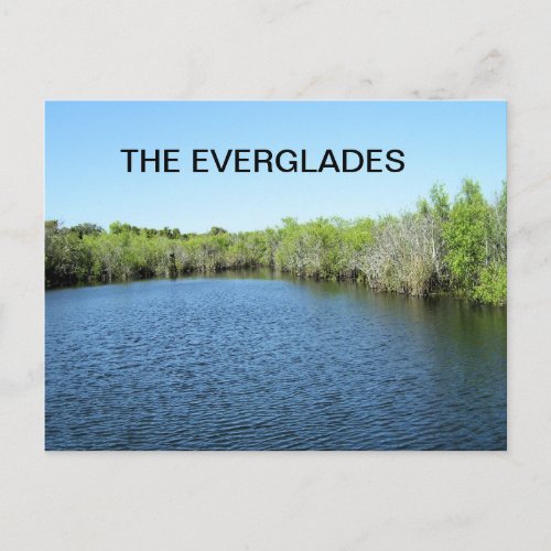 WATERS OF THE EVERGLADES POSTCARD