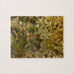 Waters of the Kaweah River Abstract Nature Jigsaw Puzzle