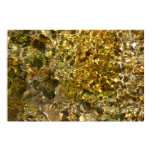 Waters of the Kaweah River Abstract Nature Poster