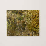 Waters of the Kaweah River II Jigsaw Puzzle