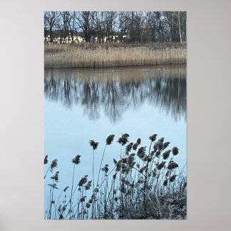 Waterscape Photo Poster