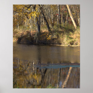 Waterscape Reflection Poster