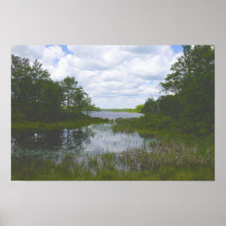 Waterscape Reflections Poster