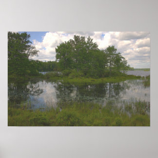 Waterscape Reflections Poster