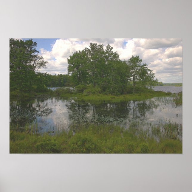 Waterscape Reflections Poster (Front)