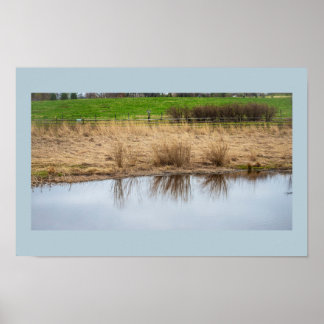 Waterscape Reflections Poster