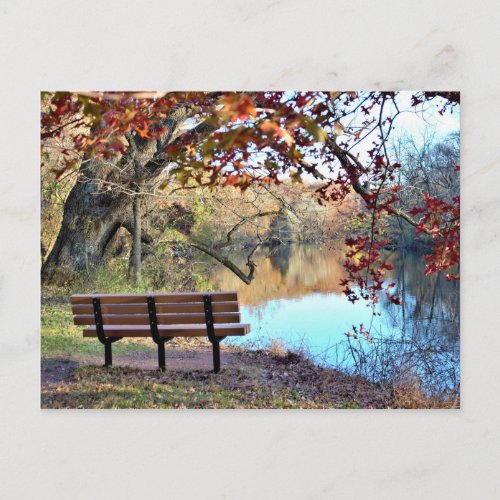 Waterscape with Bench Photo Postcard