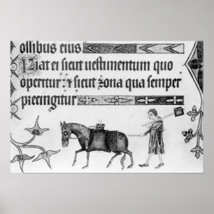 Waterseller,illustration from 'Luttrell Psalter' Poster