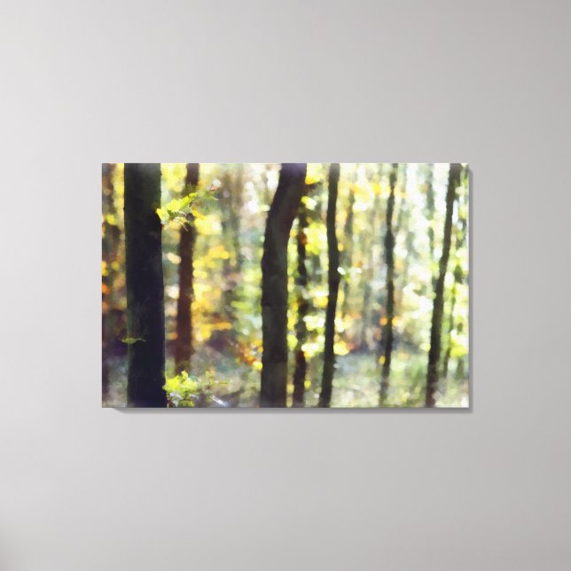 Watery Woods Canvas Print (Front)