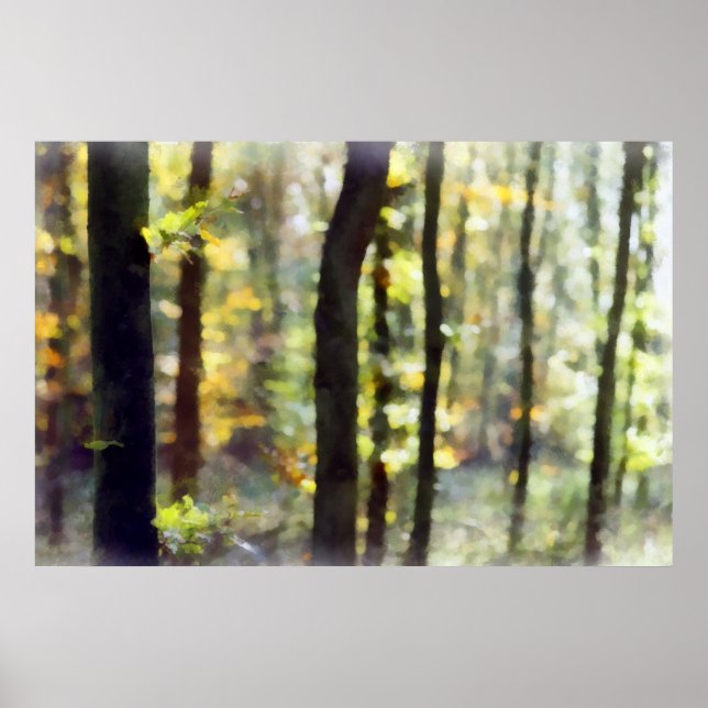 Watery Woods Poster (Front)