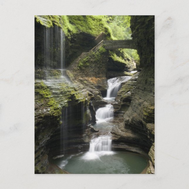 watkins glen136_edited-1-1 postcard (Front)