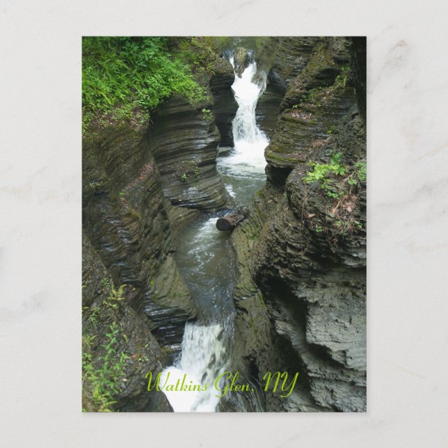Watkins Glen, NY, Photo by: ... Postcard (Front)