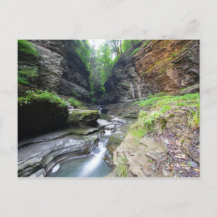 Watkins Glen State Park, New York Postcard