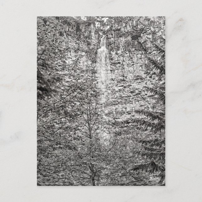 Watson Falls Postcard (Front)