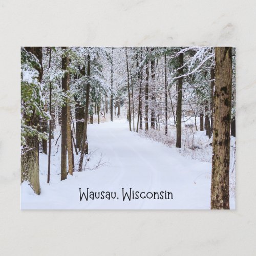 Wausau Wisconsin in Winter Postcard