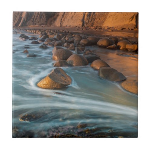 Wave along the beach California Tile