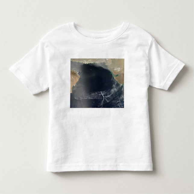 Wave clouds over the Arabian Sea Toddler T-shirt (Front)