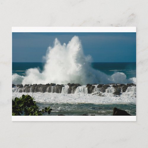 Wave Crashing over Sharks Cove Postcard