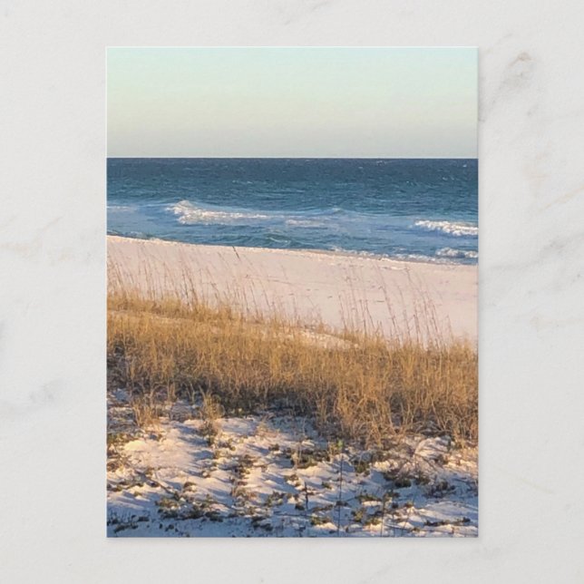 Wave Postcard (Front)