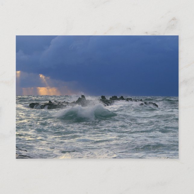 Wave Postcard (Front)